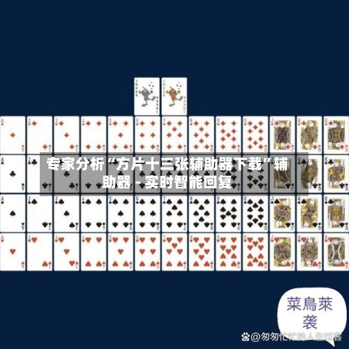 专家分析“方片十三张辅助器下载”辅助器 - 实时智能回复-第2张图片