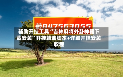 辅助开挂工具“吉林麻将外卦神器下载安装”开挂辅助脚本+详细开挂安装教程-第2张图片