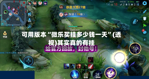 可用版本“微乐买挂多少钱一天”(透视)其实真的有挂-第3张图片