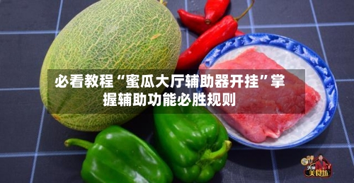 必看教程“蜜瓜大厅辅助器开挂”掌握辅助功能必胜规则