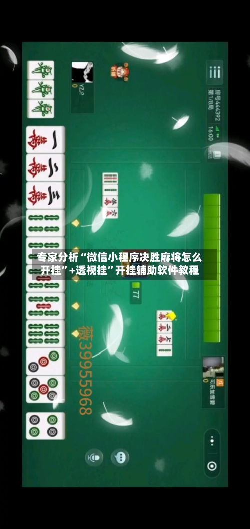 专家分析“微信小程序决胜麻将怎么开挂”+透视挂	”开挂辅助软件教程-第3张图片