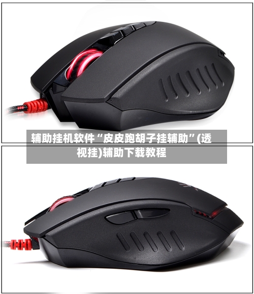 辅助挂机软件“皮皮跑胡子挂辅助	”(透视挂)辅助下载教程-第2张图片