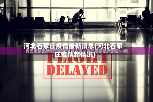 河北石家庄疫情最新消息(河北石家庄疫情新情况)-第2张图片