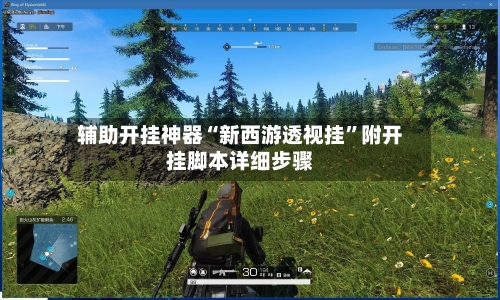 辅助开挂神器“新西游透视挂”附开挂脚本详细步骤-第2张图片