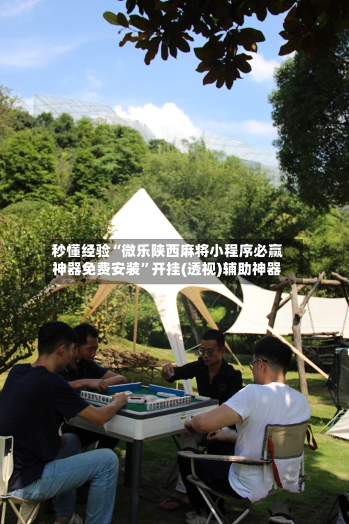 秒懂经验“微乐陕西麻将小程序必赢神器免费安装”开挂(透视)辅助神器-第3张图片