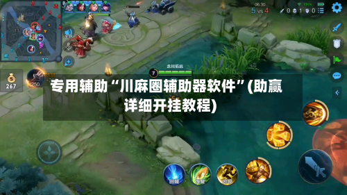专用辅助“川麻圈辅助器软件”(助赢详细开挂教程)