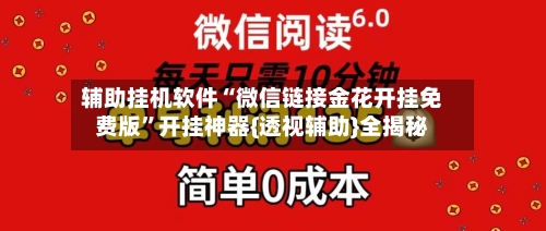 辅助挂机软件“微信链接金花开挂免费版”开挂神器{透视辅助}全揭秘-第2张图片