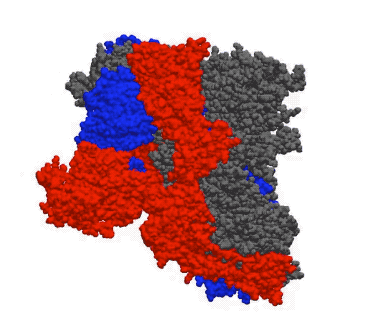 南京疫情态势/南京疫情实时动态查询