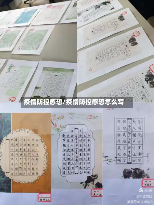 疫情防控感想/疫情防控感想怎么写