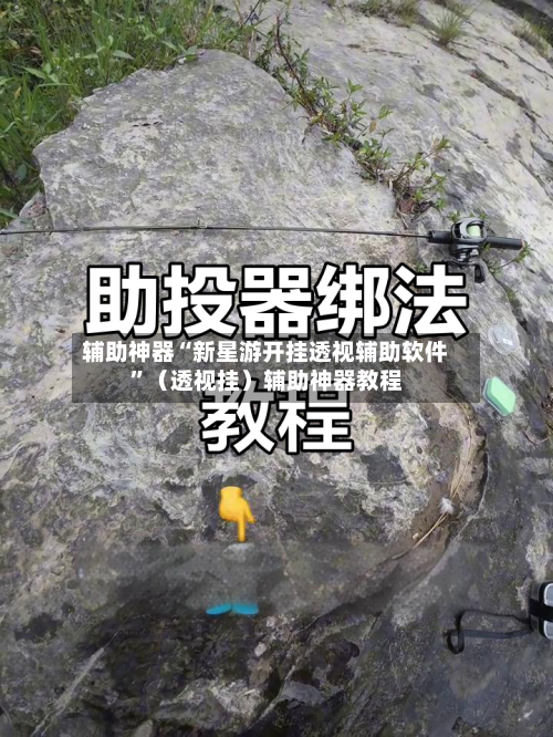 辅助神器“新星游开挂透视辅助软件	”（透视挂）辅助神器教程-第2张图片