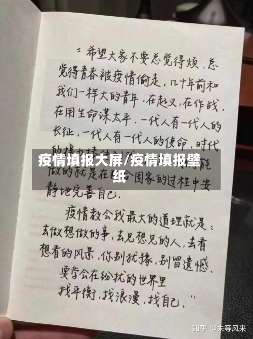 疫情填报大屏/疫情填报壁纸