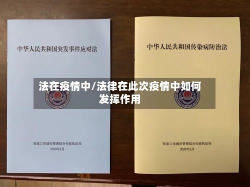法在疫情中/法律在此次疫情中如何发挥作用-第2张图片