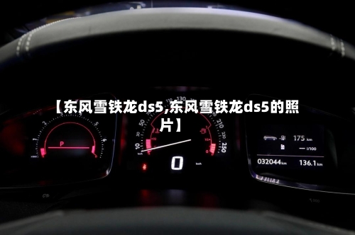 【东风雪铁龙ds5,东风雪铁龙ds5的照片】-第2张图片
