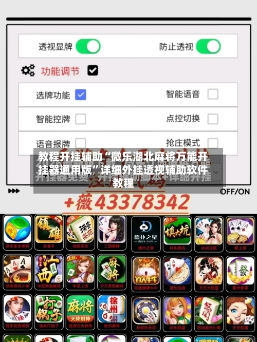 教程开挂辅助“微乐湖北麻将万能开挂器通用版	”详细外挂透视辅助软件教程-第2张图片