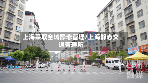 上海采取全域静态管理/上海静态交通管理所-第2张图片