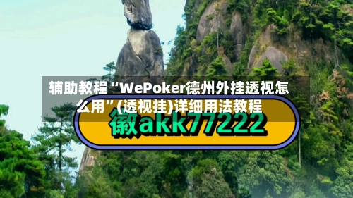 辅助教程“WePoker德州外挂透视怎么用	”(透视挂)详细用法教程-第2张图片