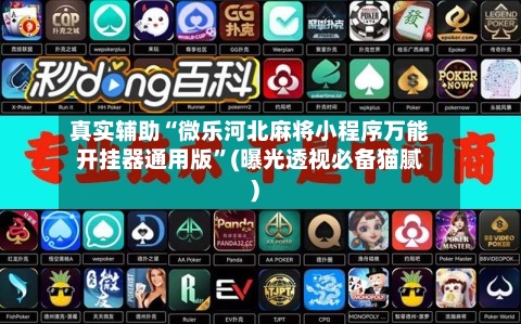 真实辅助“微乐河北麻将小程序万能开挂器通用版”(曝光透视必备猫腻)-第3张图片