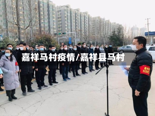 嘉祥马村疫情/嘉祥县马村