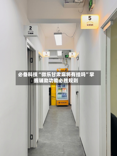 必备科技“微乐甘肃麻将有挂吗”掌握辅助功能必胜规则-第2张图片