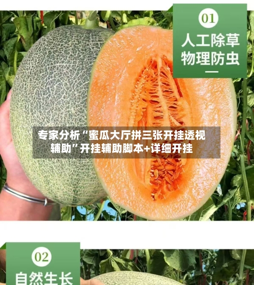 专家分析“蜜瓜大厅拼三张开挂透视辅助	”开挂辅助脚本+详细开挂-第2张图片