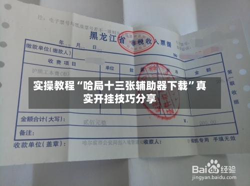 实操教程“哈局十三张辅助器下载”真实开挂技巧分享