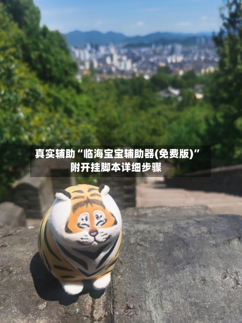 真实辅助“临海宝宝辅助器(免费版)”附开挂脚本详细步骤
