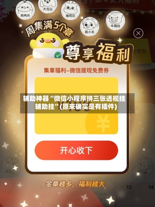 辅助神器“微信小程序拼三张透视挂辅助挂”(原来确实是有插件)-第2张图片